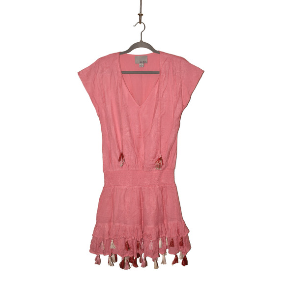 CHLOE‎ OLIVER $118 V-Neck Dropwaist Tassel Dress Pink Small - Picture 2 of 5